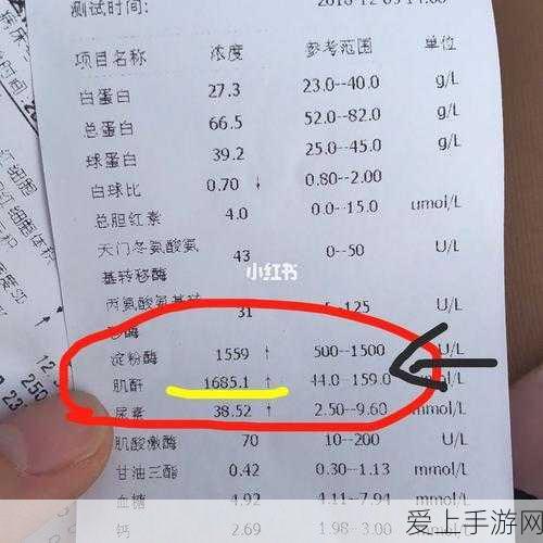 魔兽世界怀旧服攻略，揭秘永志不渝任务全攻略与隐藏细节