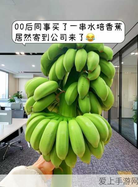 手游创新技术揭秘，串口屏如何赋能医疗设备，引领跨界融合新潮流