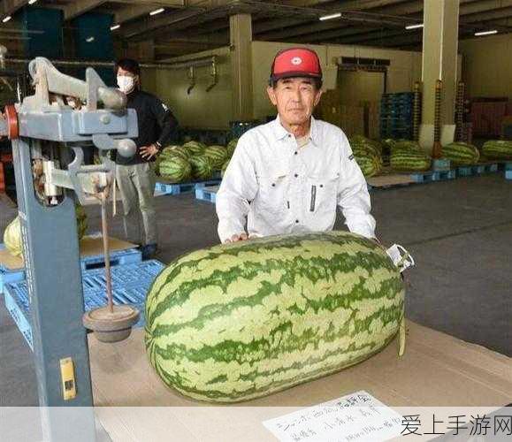 以闪亮之名羁绊卡抽取攻略，解锁稀有羁绊，提升战力秘籍