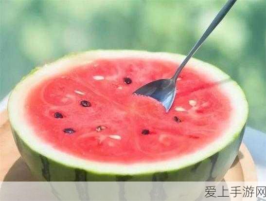 阴阳师手游爆料，SSSR式神火王或将震撼降临，玩家需冷静以待