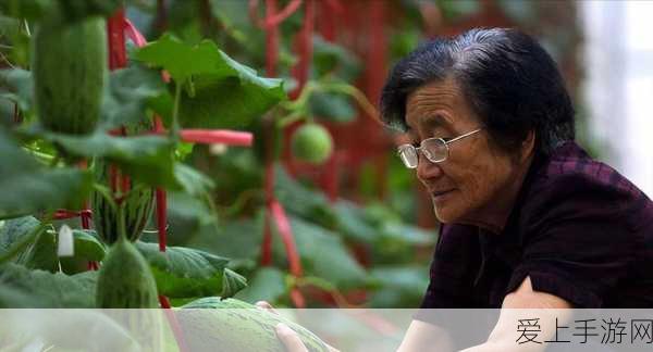 iPhone出货量下滑，标准版遇冷，高刷新率能否成为苹果的救市奇兵？