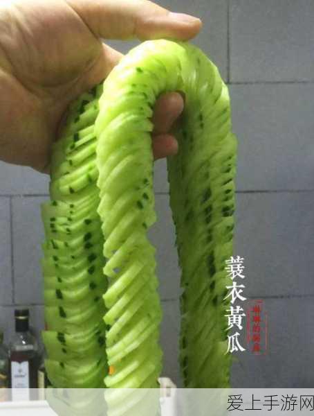 炎马宠物进化全攻略，打造造梦西游3最强战力伙伴