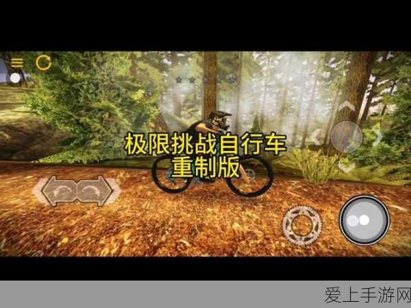 阴阳师手游深度攻略，揭秘食梦貘悬赏封印高效捕捉位置
