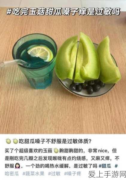 江南百景图客栈美食大揭秘，轻松切换食物，打造个性化经营之道