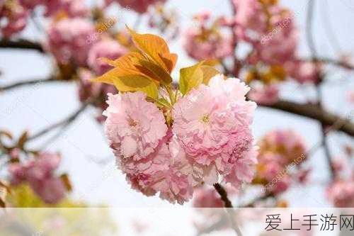 探秘御剑情缘，账号解绑秘籍大公开