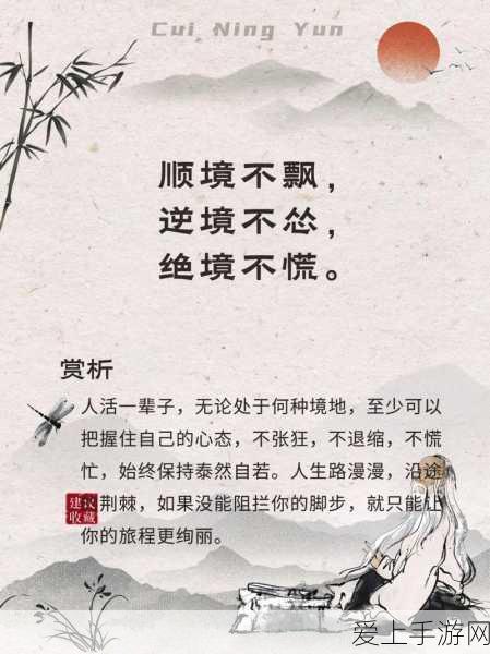 率土之滨，张辽祝融夫人曹操超强阵容玩法大揭秘