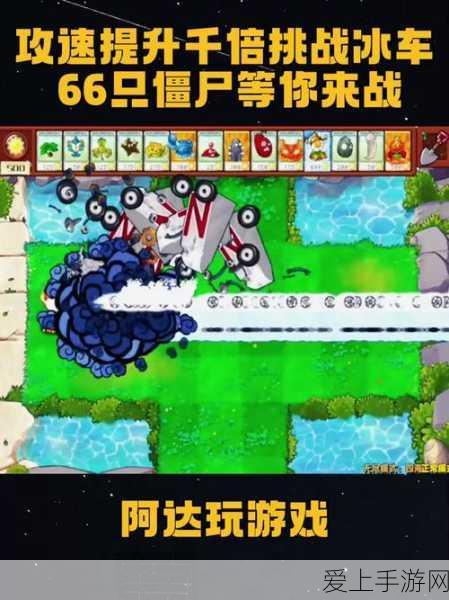 猫与老鼠，探索欢乐游戏中的绝佳躲藏秘籍