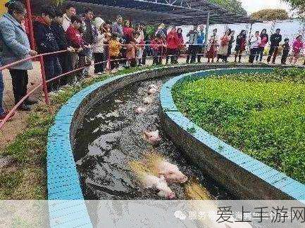玛莎拉蒂驶离和平精英，活动结束与下架时间全揭秘
