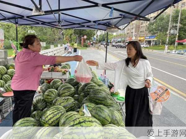深度攻略，三国志战略版俘虏解救全解析，助你称霸三国战场