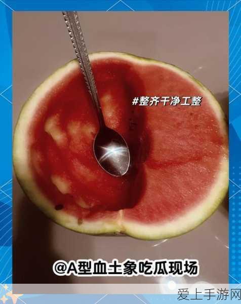 手游攻略大揭秘，失落的方舟岛之心全收集策略指南