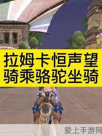 创造与魔法，探寻最低级飞行坐骑的神秘所在