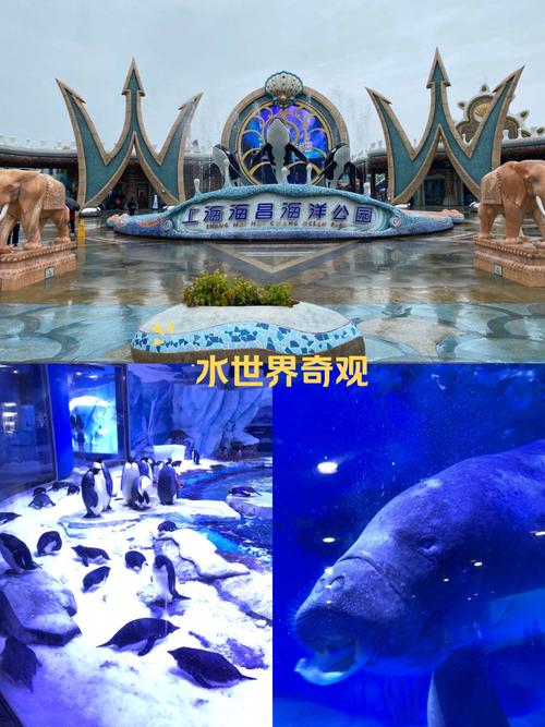 王者荣耀兰陵王幻夜行动新皮肤全解析，价格、特效及入手攻略