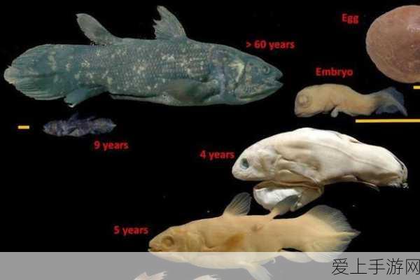 编程猫闪耀童真世界，精彩课程设计助力孩子编程启航，详解全国编程大赛亮点