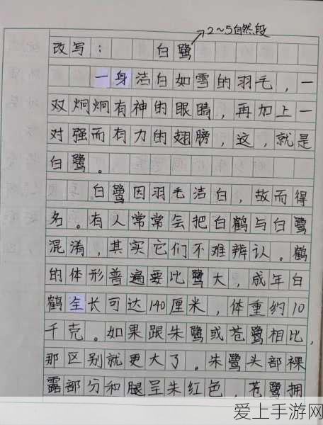 这城有良田，全赛季顶级术士大揭秘