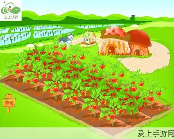 原神飞行挑战终极篇，第七天飞跃性挑战纹章全攻略