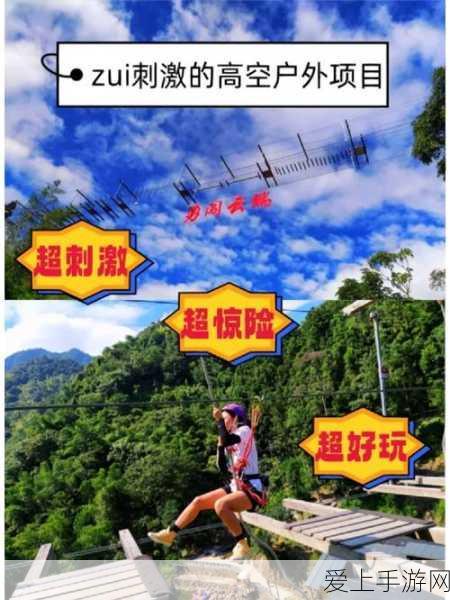 光遇最高画质无法调节？深度解析背后原因