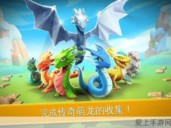 独家揭秘，元气骑士苍龙魔杖高效获取全攻略