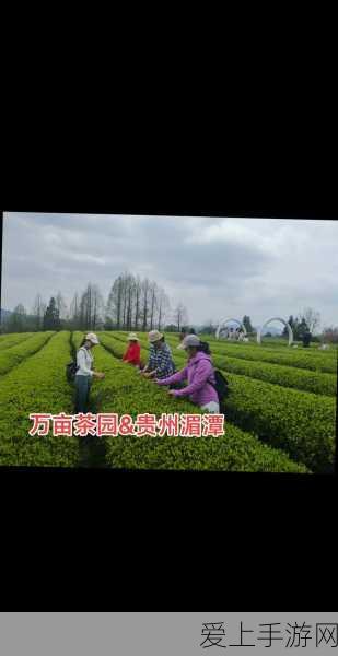手游资讯，全面解锁PSP最终幻想7任务配置攻略