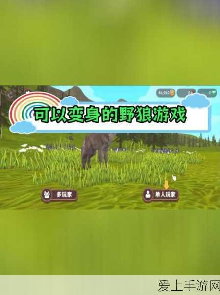云顶之弈新手必知，超易上手的绝佳阵容