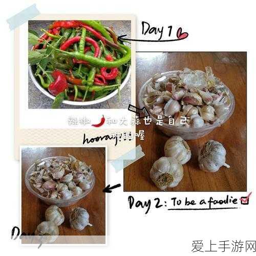 秦时明月沧海手游成圣秘籍，入圣条件全解析