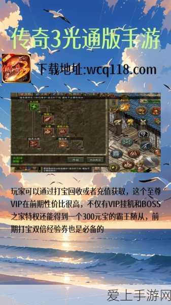深度剖析，道友请留步金霄法相的强大魅力与实战测评