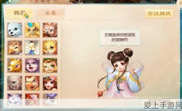 奇迹暖暖改名卡全攻略，购买渠道与价格揭秘