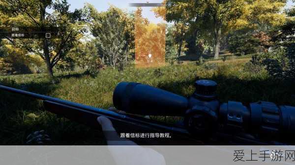原神心海阵容无敌搭配秘籍，珊瑚宫心海配队全攻略
