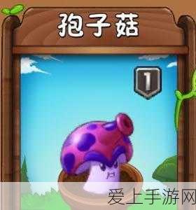 崩坏，星穹铁道深度解析——星空铁道遗器获取等级及策略指南