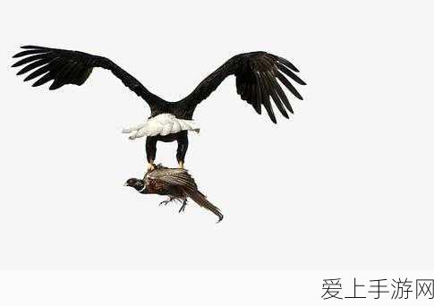金铲铲之战，高手必备！揭秘金铲铲抢人技巧与实战策略