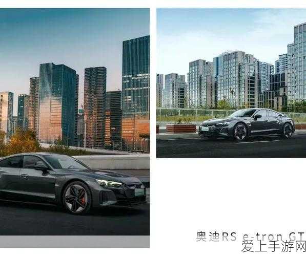 哈利波特魔法觉醒，深度解析贝拉召唤流，制胜策略全揭秘