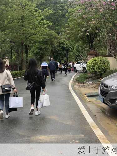 QQ 飞车手游神宠大揭秘，速度与激情的绝佳助力