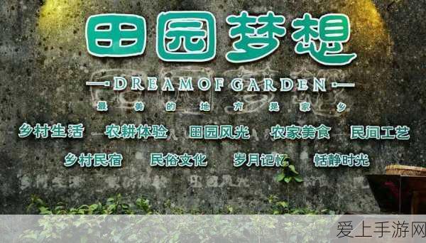 光遇小海龟纸船获取全攻略，解锁海洋奇遇的钥匙