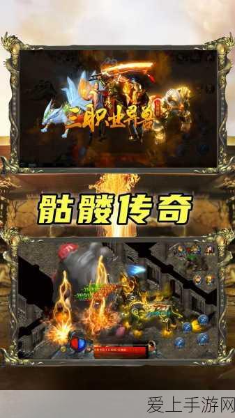 深渊契约，探秘最佳宠物的神秘面纱