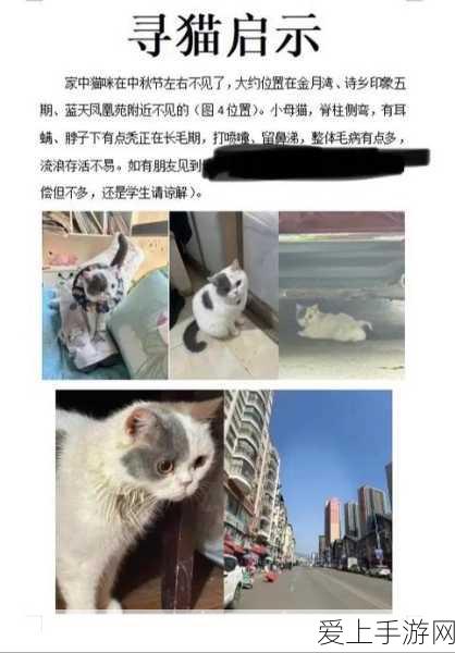 一人之下手游订单任务全解析，高效资源管理策略，助你避免资源浪费