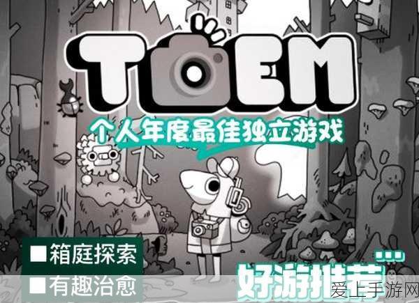 乱轰三国志，巅峰对决！揭秘最强神将排行榜单