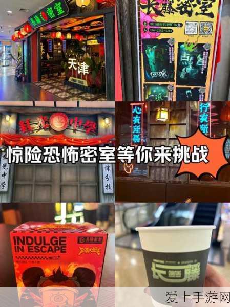 手游界新宠，揭秘HDDL-3技术如何助力手游设备测试升级