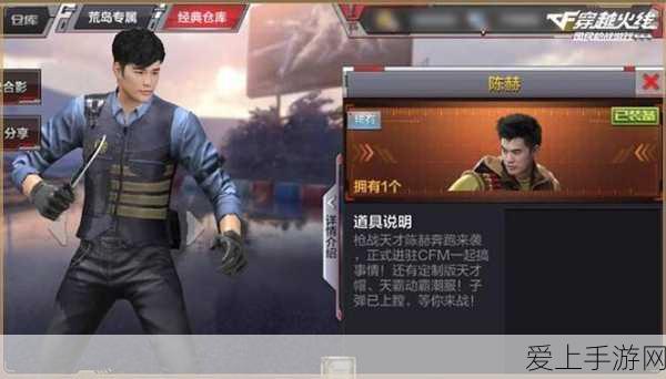稀有揭秘，蛋仔派对紫色盲盒珍稀品质全解析及抽取攻略