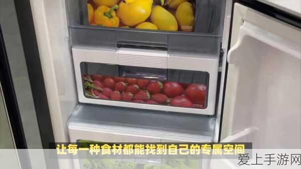 九畿岐风之旅，珍稀兑换码大放送，解锁独家福利！