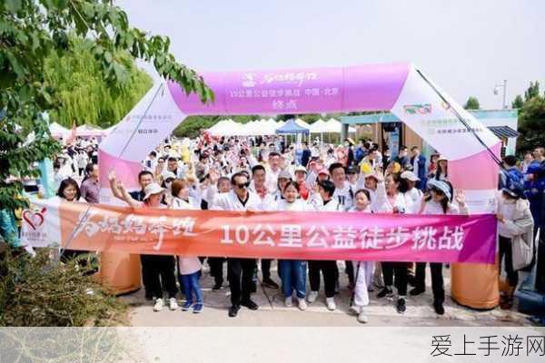 仙境传说起源，刺客转职秘籍大公开