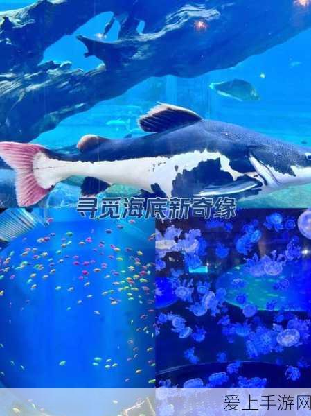 绝区零，獠牙重金属驱动盘的绝佳搭配词条攻略