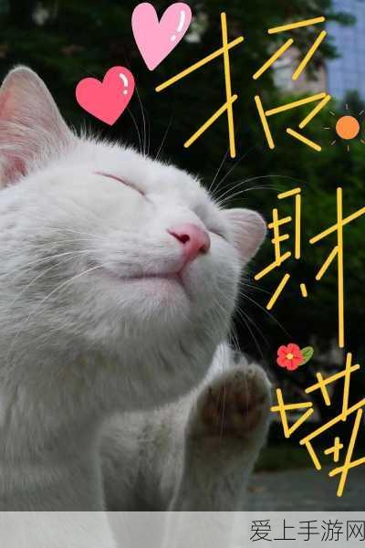 时之幻想曲守城玩法大揭秘，策略与技巧全攻略