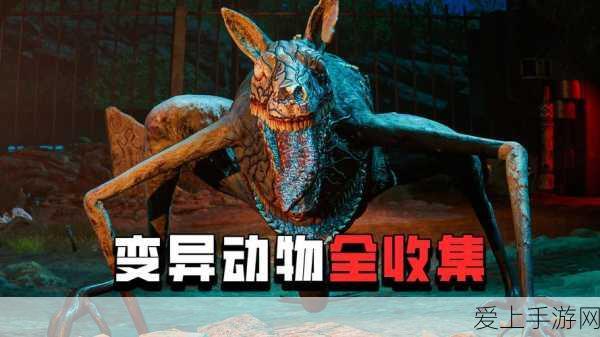 哈利波特魔法觉醒，揭秘记忆碎片的高效获取攻略