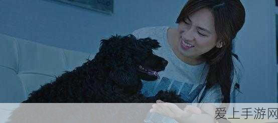 手游资讯，揭秘我的世界音乐唱片获取攻略，开启音乐探索之旅