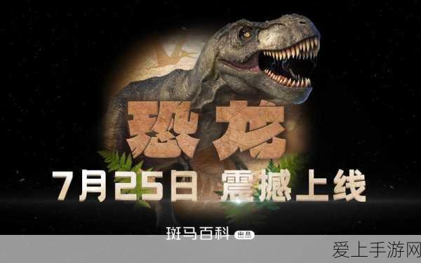 DNF手游副本难度全攻略，揭秘高效通关的隐藏技巧与策略