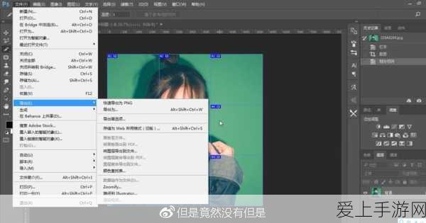 原神镇山之钉钩武器突破材料深度揭秘，助你轻松提升战力！