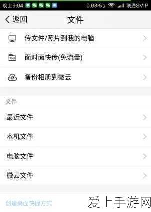 原神魈武器搭配指南：精准配置攻略，助力你探索最佳魈武器组合