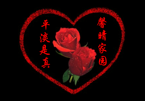 口袋妖怪新世代，顶尖赛事精灵推荐，打造无敌阵容！