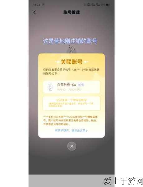 AK117极速传奇，揭秘使命召唤手游中的枪王神话