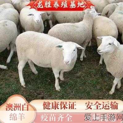 独家揭秘！创造与魔法顽皮蝾螈高效饲料配方大公开