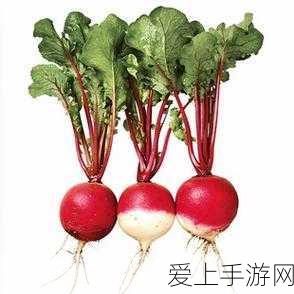 无主之地 3 初期必备神器大揭秘